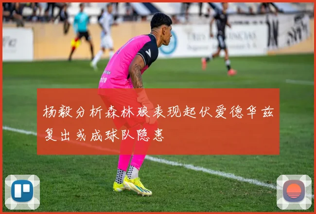 杨毅分析森林狼表现起伏爱德华兹复出或成球队隐患